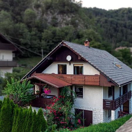 Alp House Hotel Bohinjska Bela Buitenkant foto