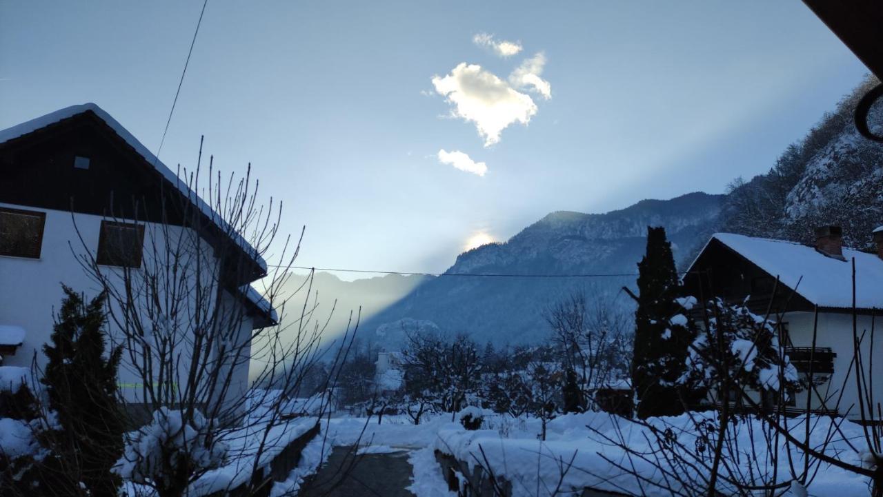 Alp House Hotel Bohinjska Bela Buitenkant foto